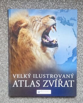 Mix věci. Sošky , talíře , knihy atd. - 3