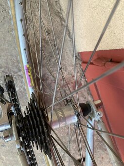 Bianchi XC 251 - 3