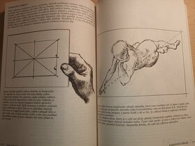 Prodám knihu Základy figurální kresby - 3