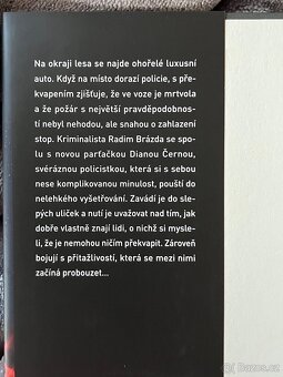 Vražedná splátka - 3