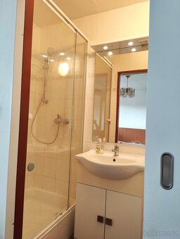 Byt 1+kk 19 m2 + balkon 8 m2, studenti/ky/pár, RD - 3