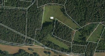 Prodej lesa 26262m2 - 3