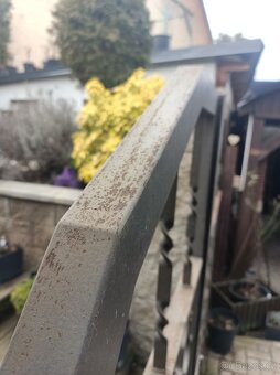 Železná dvoukřídlá branka - 3