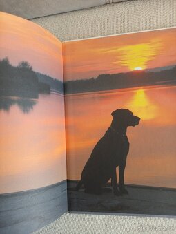 Z útulku až k moři - 3