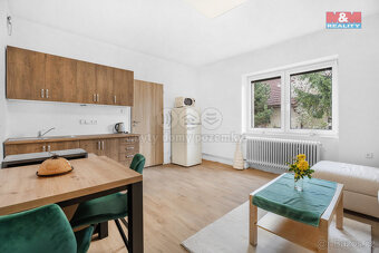 Pronájem bytu 1+kk, 23 m², Plazy - 3