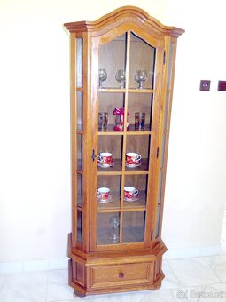 univerzální rustikální jednodveřová vitrína /skleník - 3