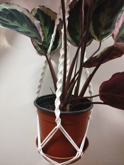 závěs na květináč macramé kroucený zelený/různé barvy - 3