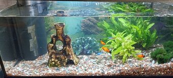 Akvárium - 3