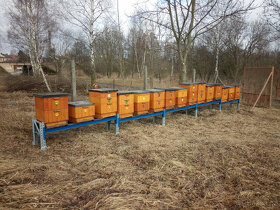 Včelí úly sestava - 3