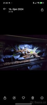 Terária s obyvateli - 3