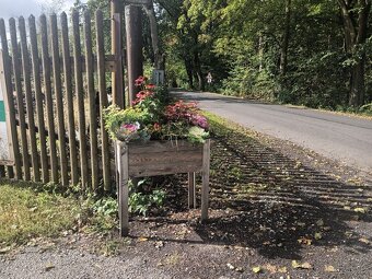 Prodám vysuté tuhlíky - 3