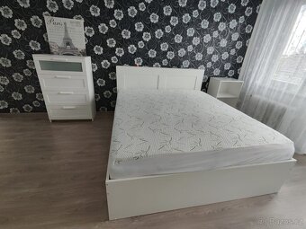 Pronájem bytu 1+1 Čéčova ul. - 3