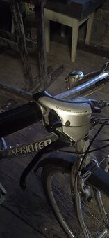Sprinter trek - 3