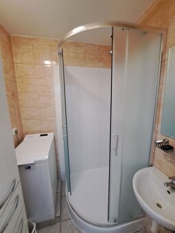 Pronájem 2+1 po rekonstrukci v Brně na Lesné - 3