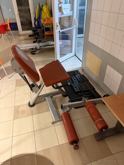 Zakopávání v sedě - posilovací stroj - 3