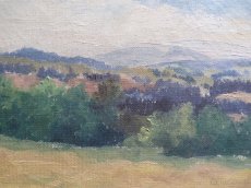 Pěkný obraz krajiny - 3