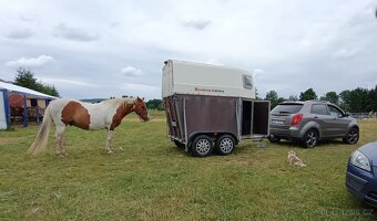 Přepravník na 1,5  koně - 3