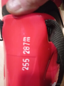 Lyžařské boty Dalbello - 3