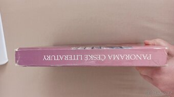 Panorama české literatury - 3