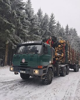 Tatra Terno 1, Euro 2 - 3