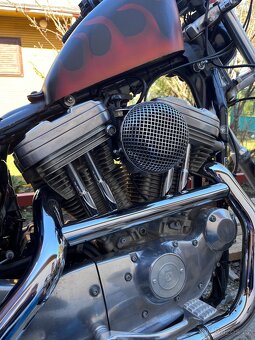 Harley davidson Sportster 883 - 3