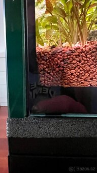 Akvarium 600l - 3