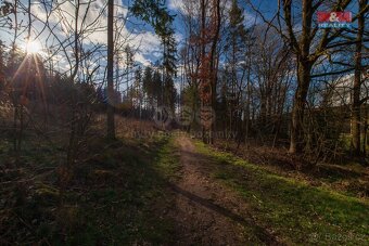 Prodej louky, 4692 m², Dobřív - 3