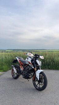 KTM Duke 125 - 2019 - 3