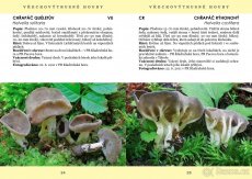 PAVEL ŠPINAR - VZÁCNÉ HOUBY TÁBORSKA - 3