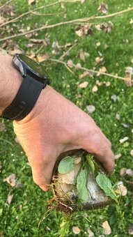 Drtič větví štěpkovač - 3