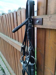 Anglická uzdečka - 3