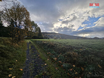 Prodej pole, 3616 m², Vrbno pod Pradědem - 3
