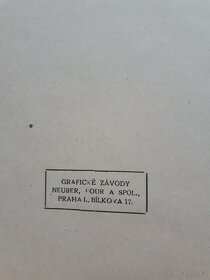 Kniha z roku 1929. - 3