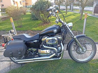 Prodám Harley Davidson XL1200C Sportster - 3