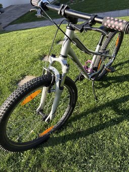 Dětské kolo Specialized 24 - 3