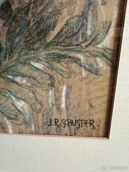 J. R. Schuster Vlčí máky - 3