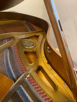 Křídlo Petrof IV - 3