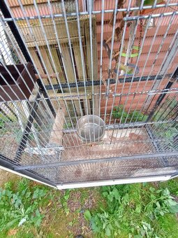 Klec na papouška - 3