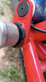 Horské juniorské kolo CALVIN - 3