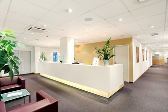 Pronájem kanceláře, 60 m2 - Praha - Nové Město - 3