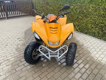 Čtyřkolka SMC Razeer 300 CVT - 3