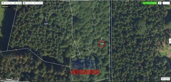 Malebný lesní pozemek v katastrálním území Kundratice - 3