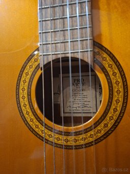 Kytara Pro Arte CG-150 - 3