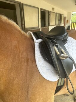 Sedlo Duett Allegro komora 4-5 - 3