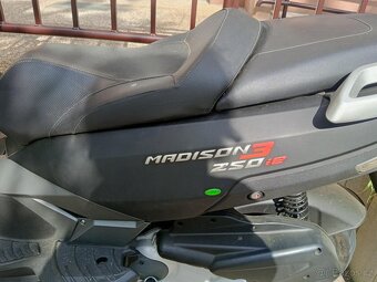 Malaguti Madison 3 250 ie - 3