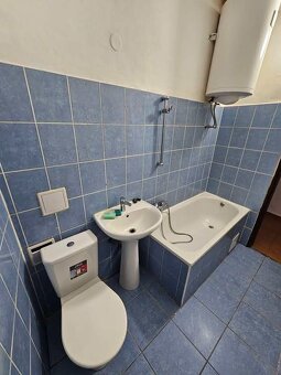 Pronajem prostorný byt 2+1 v Brloh u Č. Krumlov - 3