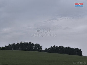 Prodej lesa, 20 128 m², Střelské Hoštice - 3