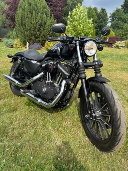 Harley Davidson Sportster iron 883 - 3