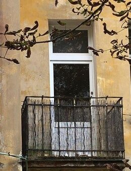 Balkonové dveře GEALAN - 3