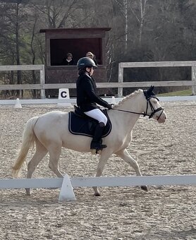 Prodám sportovního pony S - 3
